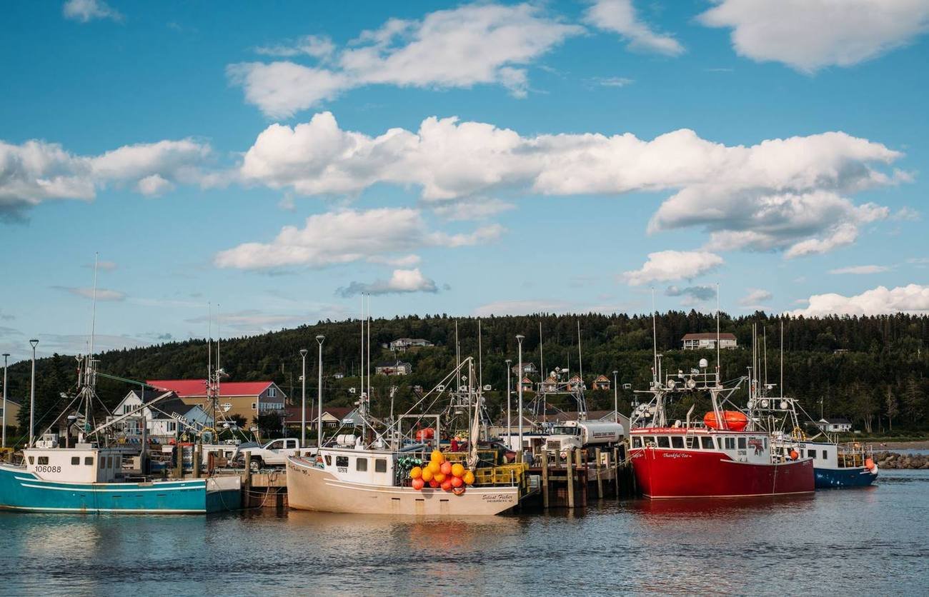 Fishing boats in a New Brunswick harbour